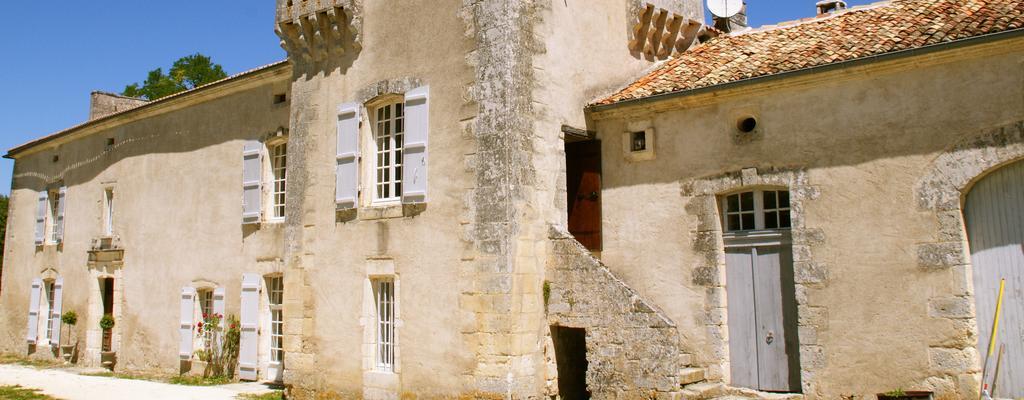 Chateau De La Combe Puyrenier Екстер'єр фото
